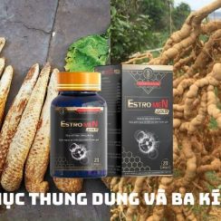 Thuốc tăng cường sinh lý nam Estromen Gold giúp tăng kích thước “Trọn đời”