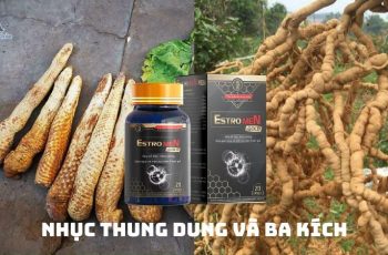 Thuốc tăng cường sinh lý nam Estromen Gold giúp tăng kích thước “Trọn đời”