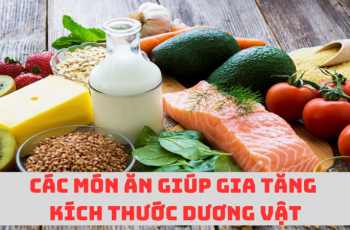 Ăn gì để tăng kích thước dương vật? Món ăn giúp “cậu nhỏ” to, dài