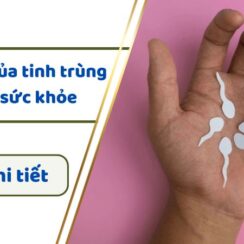 Tác dụng của tinh trùng đối với sức khỏe bạn không thể ngờ đến