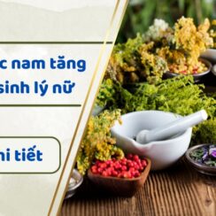 8 cây thuốc nam tăng cường sinh lý nữ giúp chuyện ấy thêm “sung”